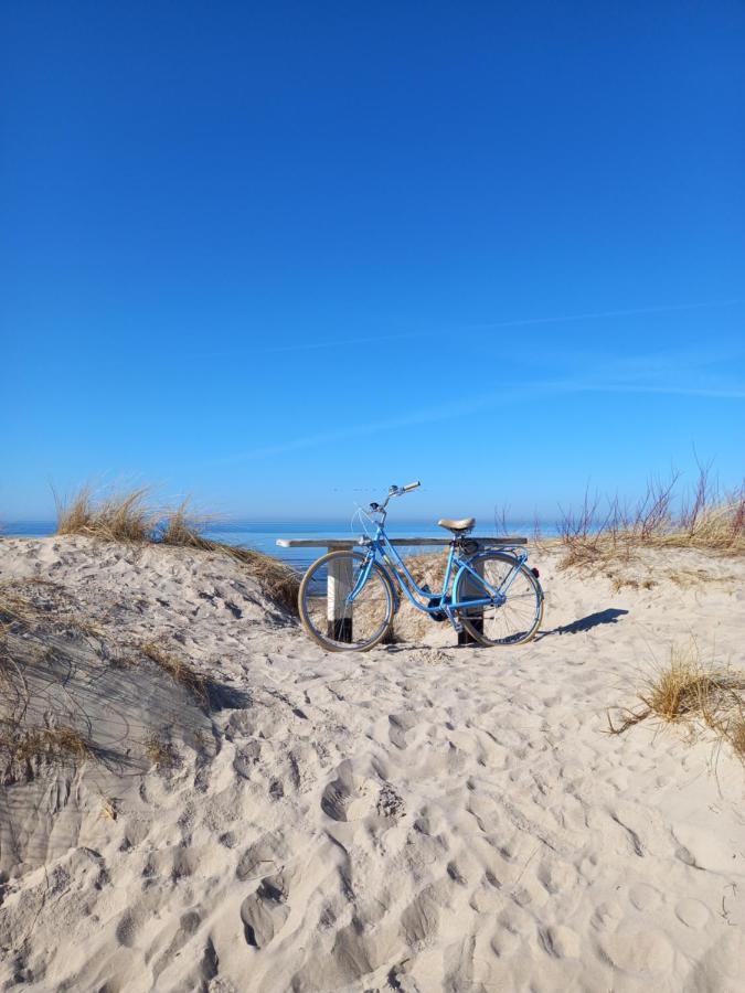 Vila Baltic Mare Palanga Buitenkant foto